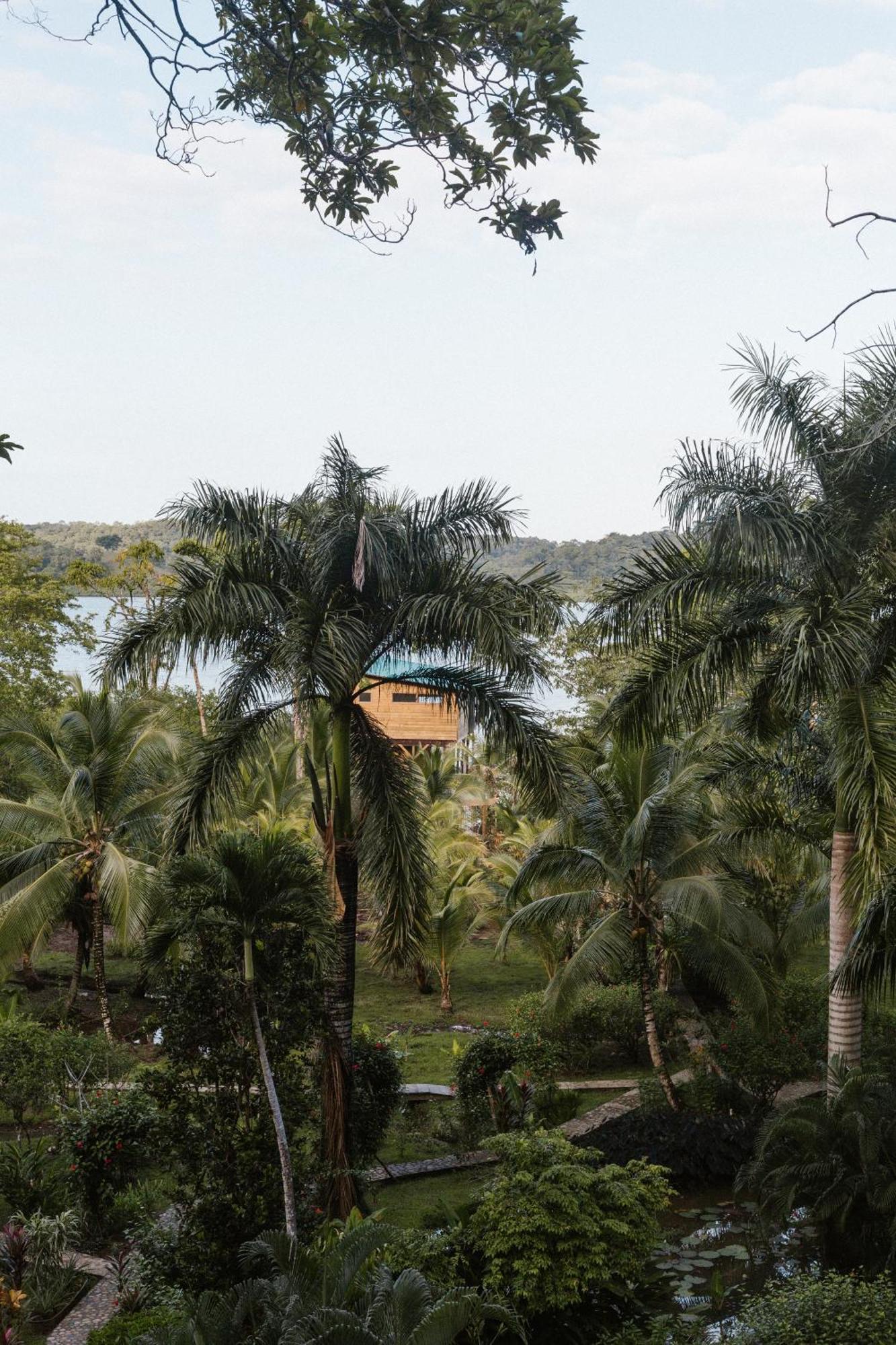 Roam Yoga & Wellness Lodge Bocas del Toro Exteriér fotografie